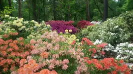 20160522_124725.webp