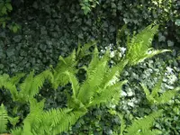 BILD4992.webp