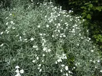 BILD5000.webp