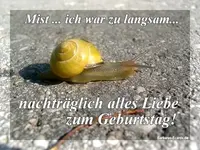 014.webp