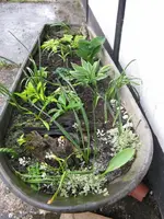 001_720x960.webp