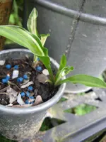 004_720x960.webp