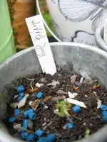 009_720x960.webp