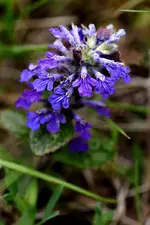 2016-05-18-8499.webp