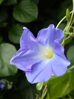 P1000610.webp