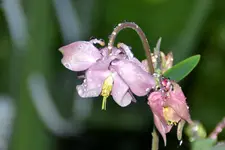 DSC_7779.webp