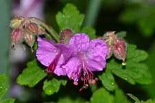 DSC_7885.webp