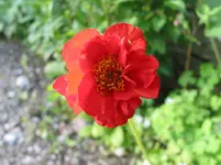 008.webp