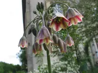 012.webp