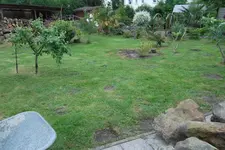SAM_1379.webp