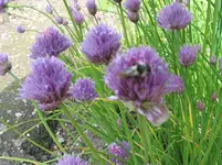 016.webp