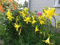 002.webp