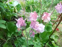 011.webp