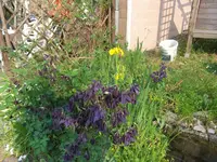 008.webp