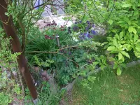 003.webp