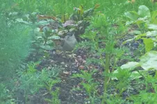DSCF5958 (2).webp