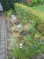 DSCN4026.webp