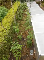 DSCN4027.webp