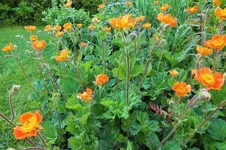 DSCF5935 (2).webp