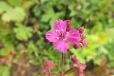 DSCF5964 (2).webp