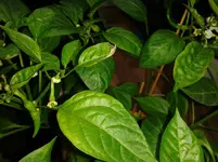 IMG_20160525_090316.webp