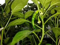 IMG_20160525_090746.webp