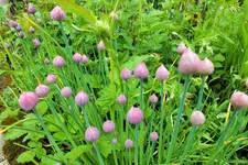DSCF5965 (2).webp