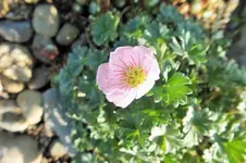 DSCF5940 (2).webp