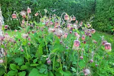 DSCF5937 (2).webp