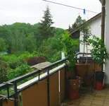 P1100785.webp