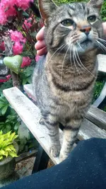 IMG-20160523-WA0009.webp