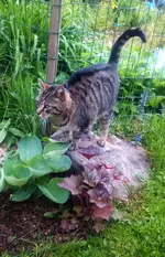 IMG-20160523-WA0014.webp