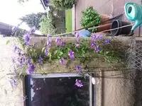 20160525_094608.jpg