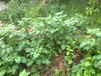 foto0113.webp