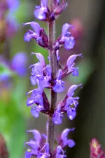 DSC_7960.webp
