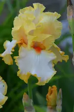 2keineahnung.webp