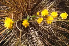 DSCF5953.webp