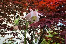 DSCF5980 (2).webp