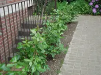 DSC05017.webp