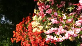 DSC_0056.webp