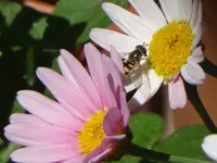 214.webp