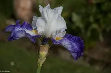 IMG_9716-2.webp