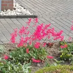 IMG-20160526-WA0000.webp