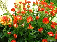 IMG_5882.webp