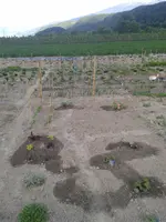 20160526_174604.webp