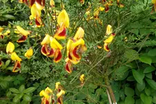 SAM_1388.webp
