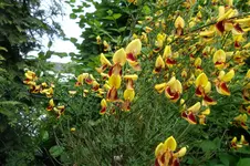 SAM_1389.webp