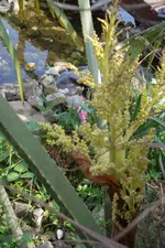 SAM_1390.webp