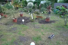 SAM_1399.webp