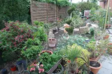 SAM_1401.webp